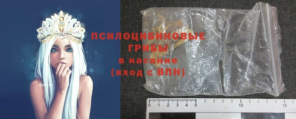 mdpv Богородск