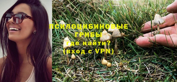 амфетамин Белокуриха