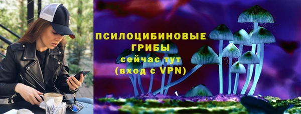 mdpv Богородск