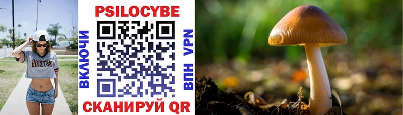 omg ссылки  Белокуриха  Псилоцибиновые грибы Cubensis  даркнет сайт 